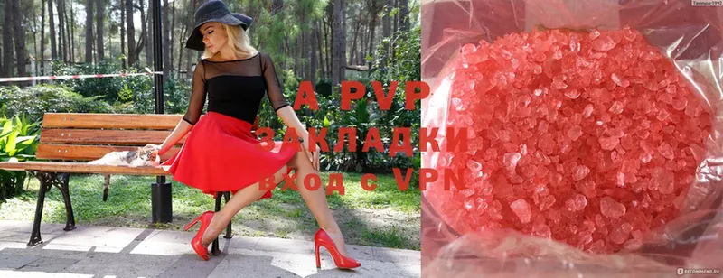 Alfa_PVP СК  Грозный 